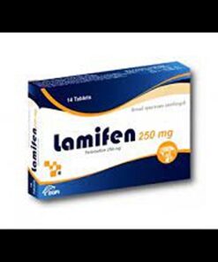 LAMIFEN 250 MG 14 TAB