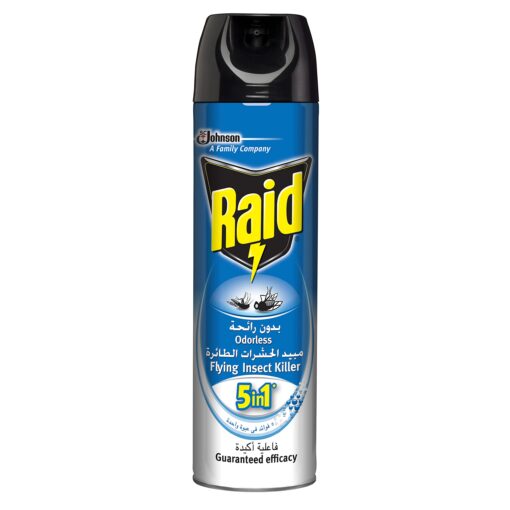 Raid Flying Insect Killer Odorless 300 ML